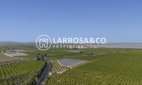Resale - Apartment - San Miguel de Salinas - Inland