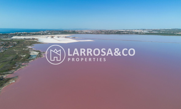 Resale - Apartment - San Miguel de Salinas - Inland