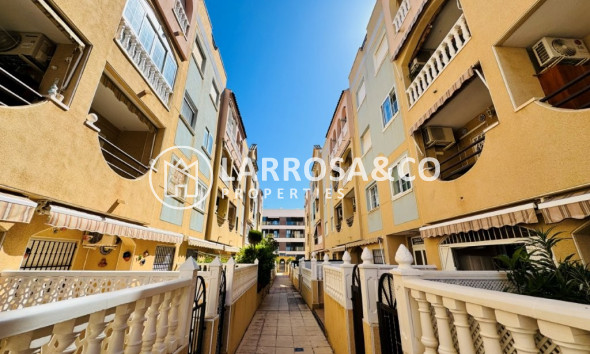 A Vendre - Apartment - La Mata - Costa Blanca