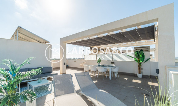 Reventa - Apartamento - Guardamar del Segura - Costa Blanca
