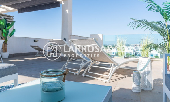 Reventa - Apartamento - Guardamar del Segura - Costa Blanca
