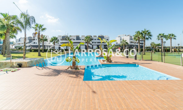 Reventa - Apartamento - Guardamar del Segura - Costa Blanca