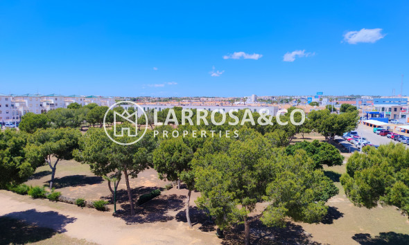 Herverkoop - Apartment - La Zenia - Costa Blanca