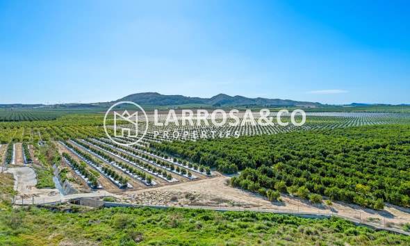 Resale - Apartment - Algorfa - Inland