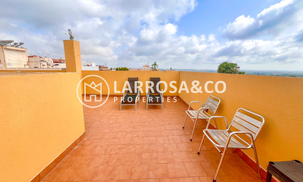 Resale - Apartment - San Miguel de Salinas - Inland
