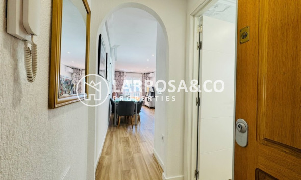A Vendre - Apartment - Guardamar del Segura - Costa Blanca
