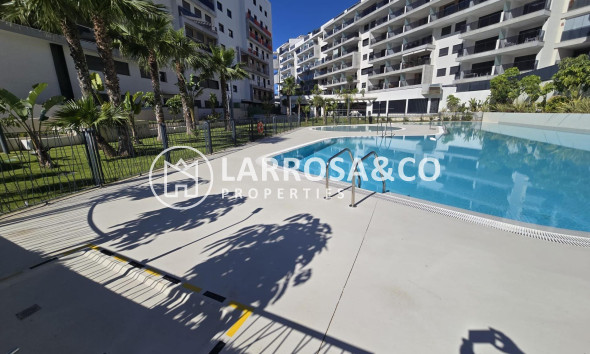 Resale - Penthouse  - Campoamor - Dehesa De Campoamor