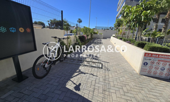Resale - Penthouse  - Campoamor - Dehesa De Campoamor