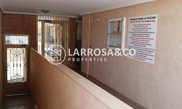 Resale - Apartment - Los Montesinos - PUEBLO CENTRO