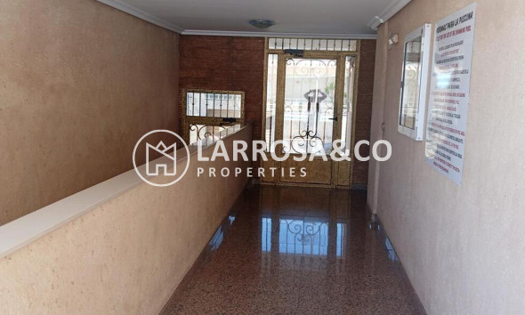 Resale - Apartment - Los Montesinos - PUEBLO CENTRO