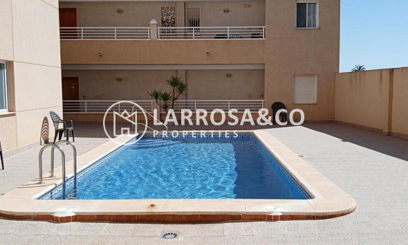 Resale - Apartment - Los Montesinos - PUEBLO CENTRO