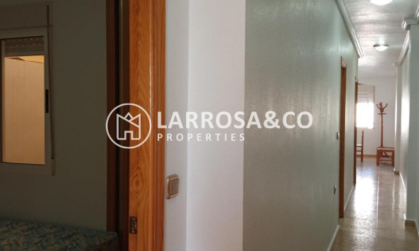 Resale - Apartment - Los Montesinos - PUEBLO CENTRO