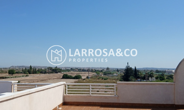 Resale - Apartment - Los Montesinos - PUEBLO CENTRO