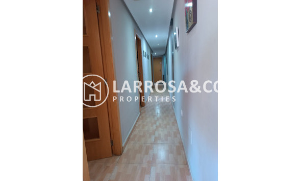 Reventa - Apartamento - Los Montesinos - Costa Blanca