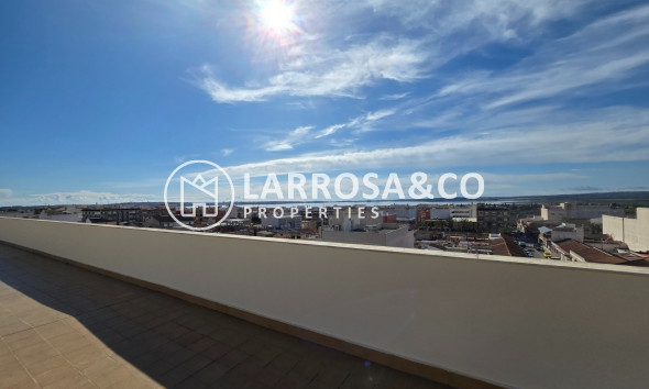 Вторичный рынок - Квартира - Лос Монтесинос - Costa Blanca