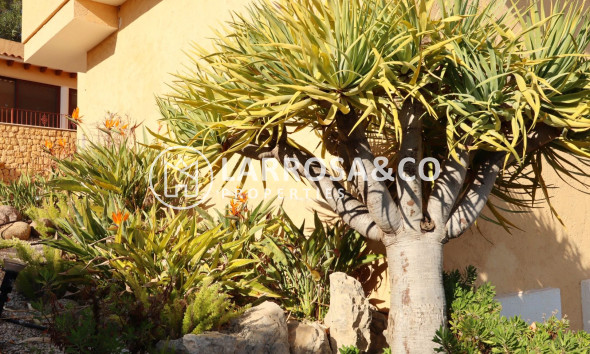 Resale - Detached House/Villa - Altea - Costa Blanca