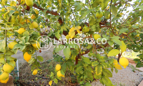 Resale - Detached House/Villa - Altea - Costa Blanca