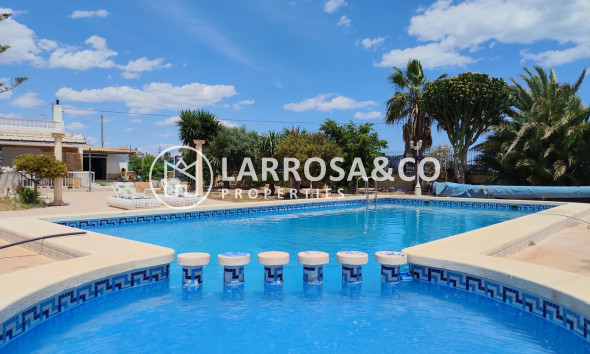 Resale - Country house - Los Montesinos - Costa Blanca