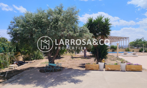 Resale - Country house - Los Montesinos - Costa Blanca