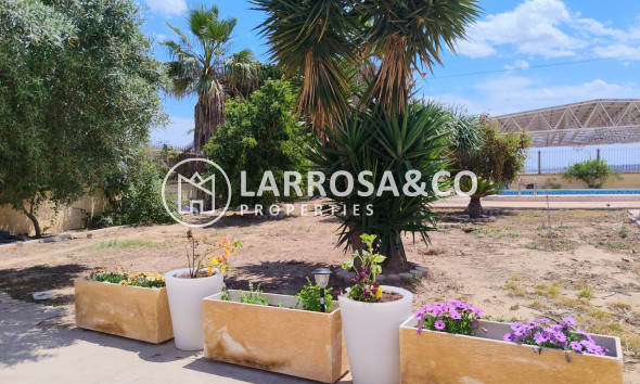Resale - Country house - Los Montesinos - Costa Blanca