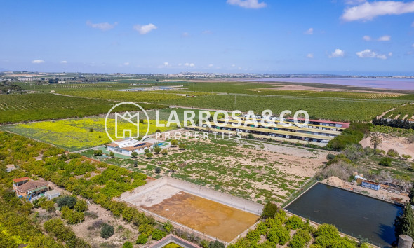 Resale - Detached House/Villa - Los Montesinos - Costa Blanca