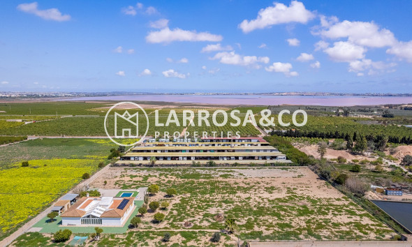 Resale - Detached House/Villa - Los Montesinos - Costa Blanca
