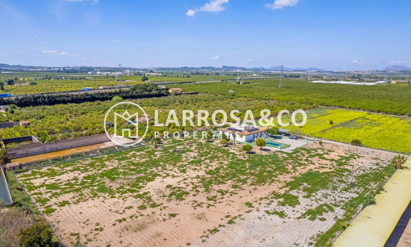 Resale - Detached House/Villa - Los Montesinos - Costa Blanca