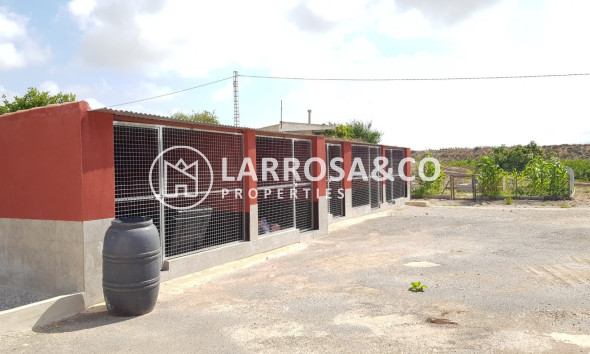 Resale - Country house - Los Montesinos - LOS MONTESINOS
