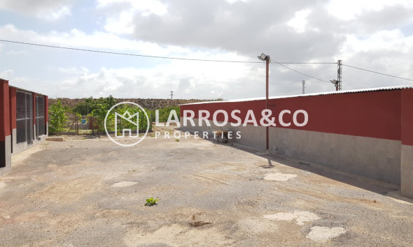 Resale - Country house - Los Montesinos - LOS MONTESINOS