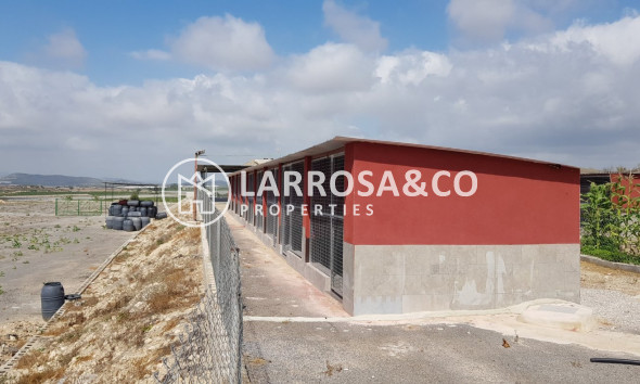 Resale - Country house - Los Montesinos - LOS MONTESINOS