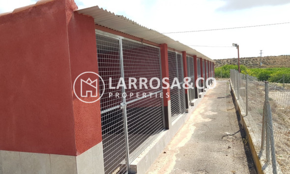 Resale - Country house - Los Montesinos - LOS MONTESINOS