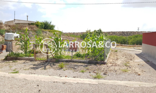 Resale - Country house - Los Montesinos - LOS MONTESINOS