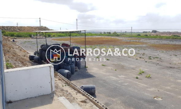 Resale - Country house - Los Montesinos - LOS MONTESINOS