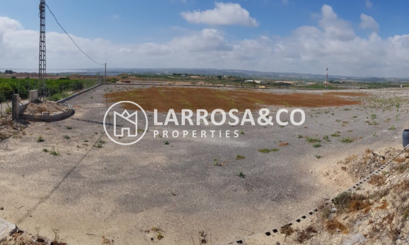 Resale - Country house - Los Montesinos - LOS MONTESINOS