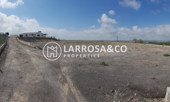 Resale - Country house - Los Montesinos - LOS MONTESINOS