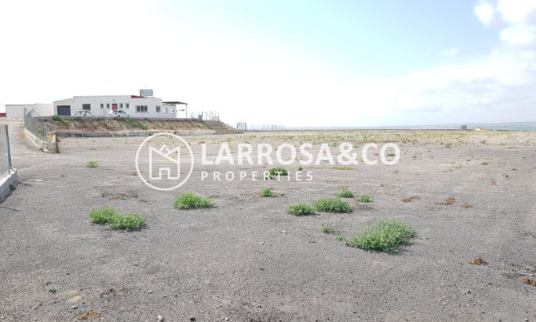 Resale - Country house - Los Montesinos - LOS MONTESINOS