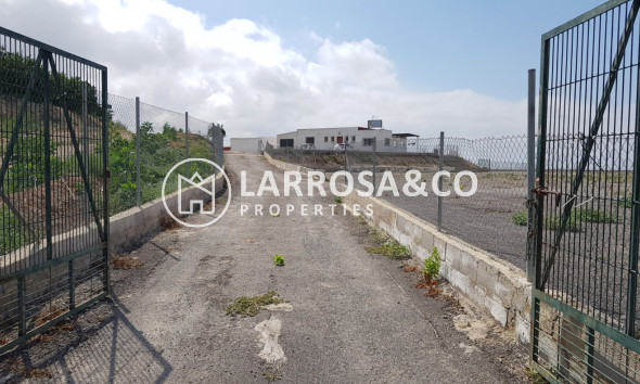 Resale - Country house - Los Montesinos - LOS MONTESINOS