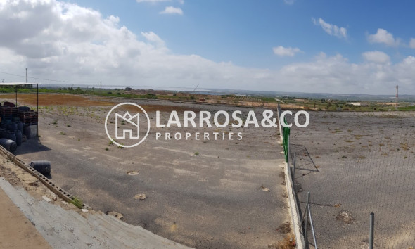 Resale - Country house - Los Montesinos - LOS MONTESINOS