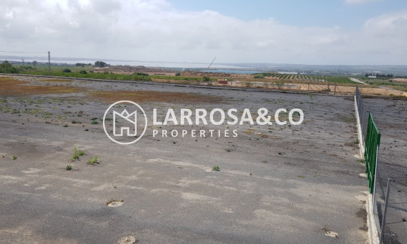 Resale - Country house - Los Montesinos - LOS MONTESINOS