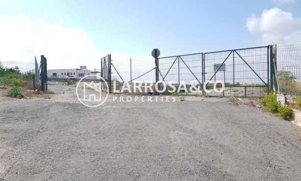 Resale - Country house - Los Montesinos - LOS MONTESINOS