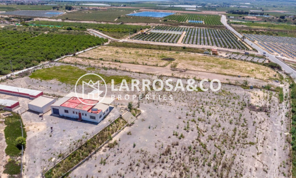 Resale - Country house - Los Montesinos - LOS MONTESINOS