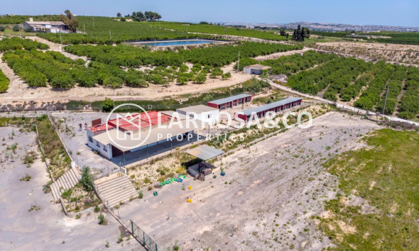 Resale - Country house - Los Montesinos - LOS MONTESINOS