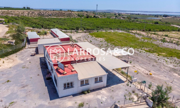Resale - Country house - Los Montesinos - LOS MONTESINOS