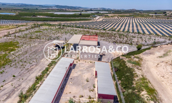 Resale - Country house - Los Montesinos - LOS MONTESINOS