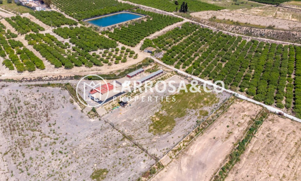Resale - Country house - Los Montesinos - LOS MONTESINOS