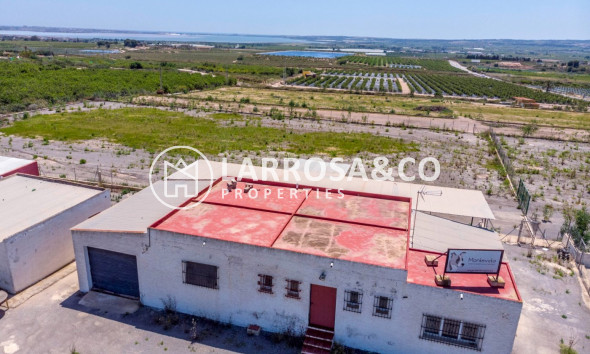 Resale - Country house - Los Montesinos - LOS MONTESINOS