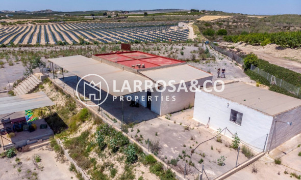 Resale - Country house - Los Montesinos - LOS MONTESINOS