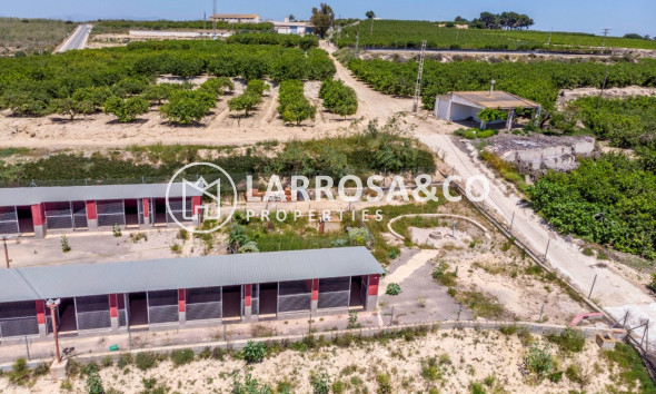 Resale - Country house - Los Montesinos - LOS MONTESINOS