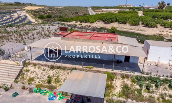 Resale - Country house - Los Montesinos - LOS MONTESINOS