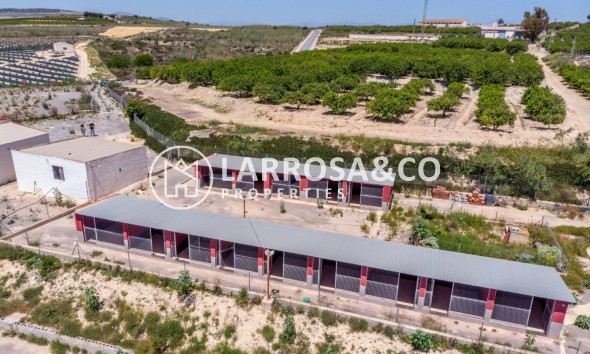 Resale - Country house - Los Montesinos - LOS MONTESINOS